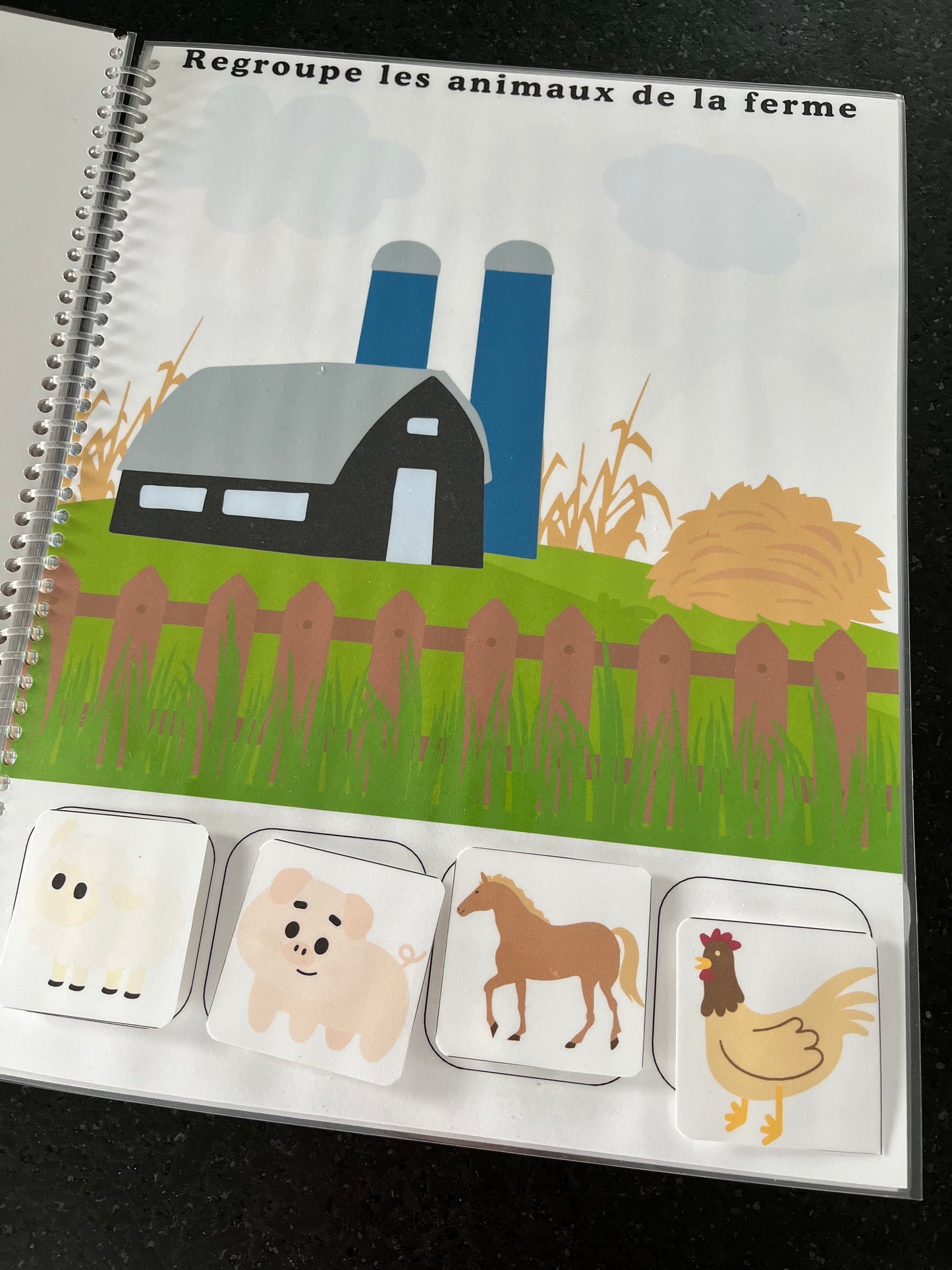 Cahier d’apprentissages - My first busy book en français - Aujaco