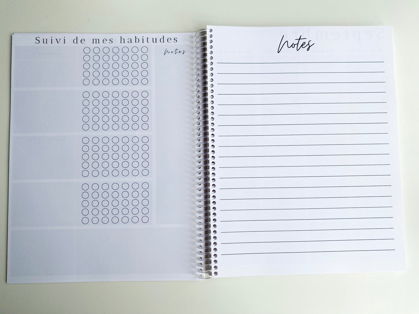 Agenda daté 2025 - Bleu et fleurs blanches