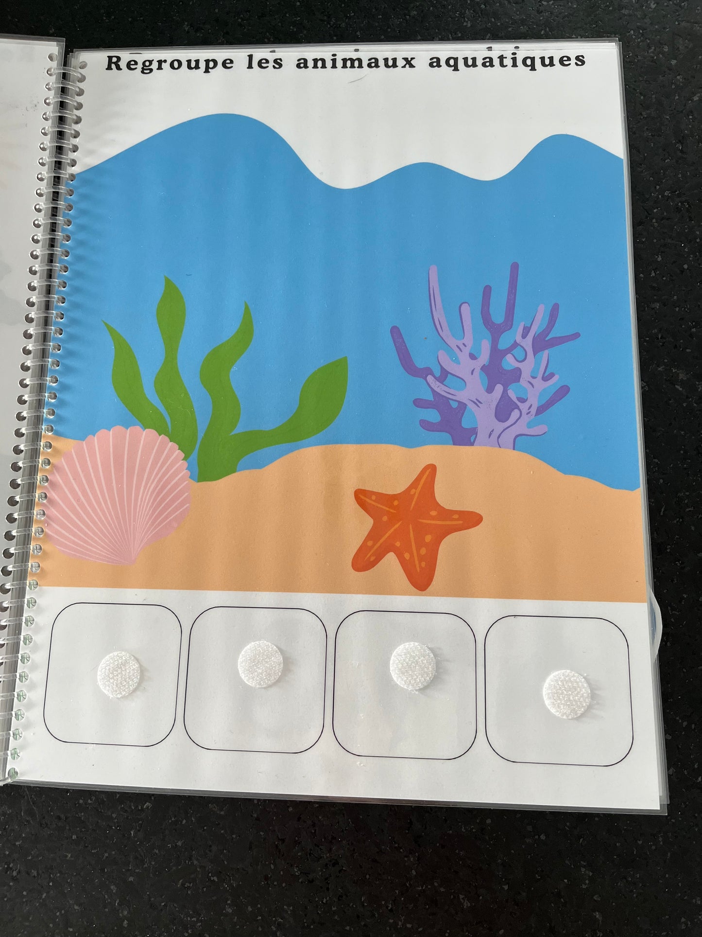 Cahier d’apprentissages - My first busy book en français - Aujaco